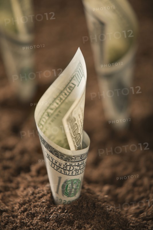 One hundred dollar bill in soil. Photo : Mike Kemp