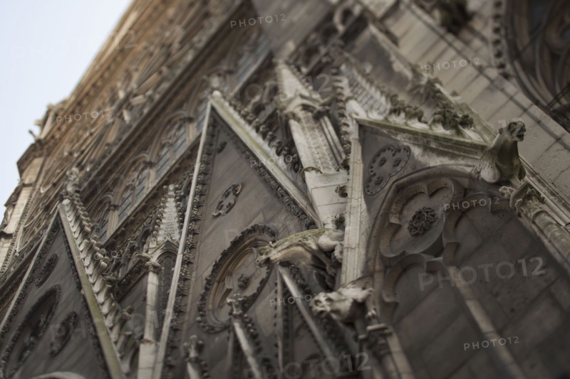 France, Paris, Gargoyles on Notre Dame. Photo : FBP
