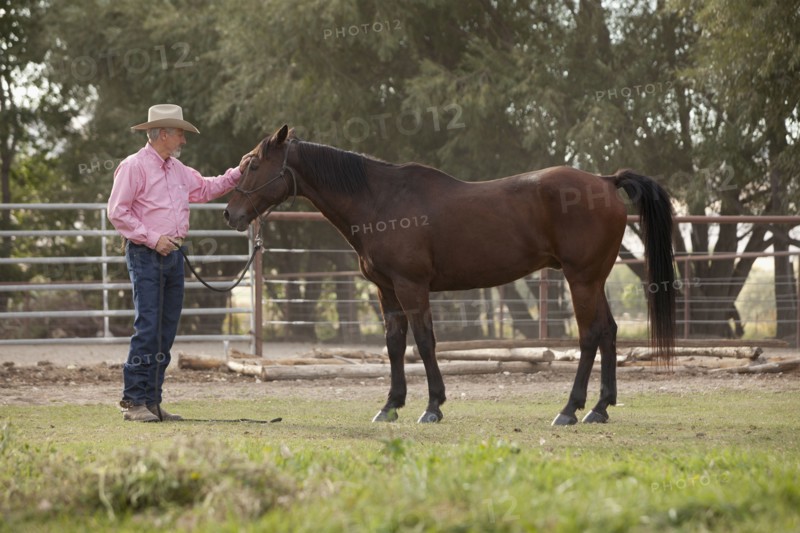 Senior man with horse in ranch. Photo : Mike Kemp