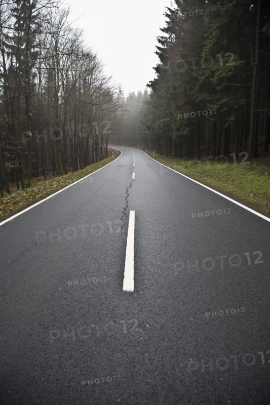 Road in fog. Photo : Johannes Kroemer