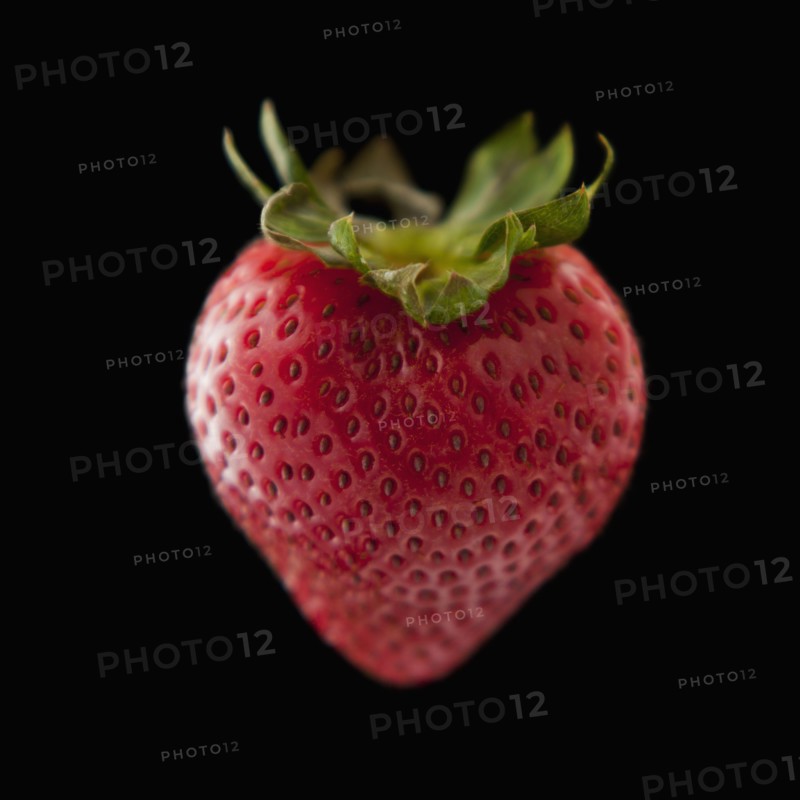 Strawberry on black background. Photo : Mike Kemp