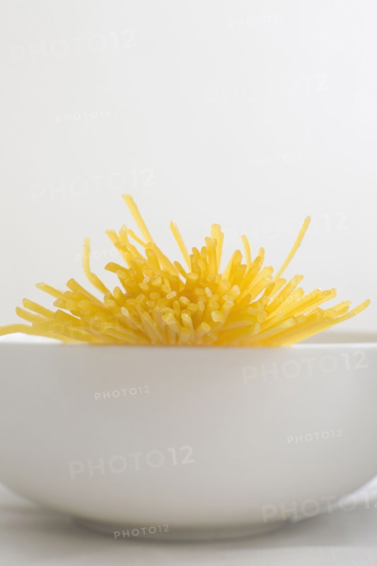 Whole wheat pasta in bowl. Photo : David Engelhardt