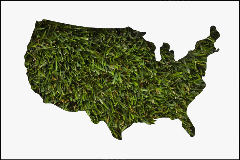 Map made from grass. Photo : Mike Kemp