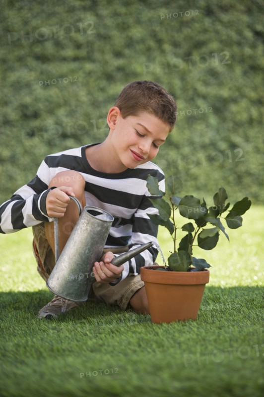 Boy (10-11) watering plant in pot. Photo : Daniel Grill