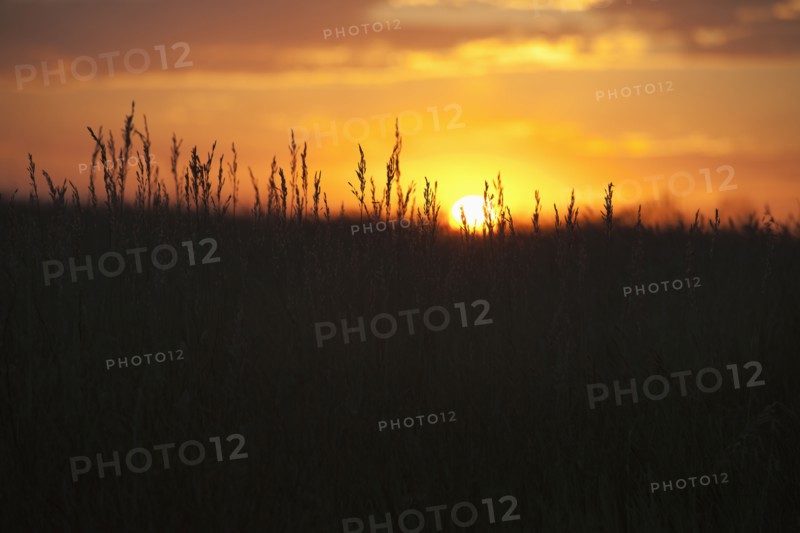 Sunset above prairie.