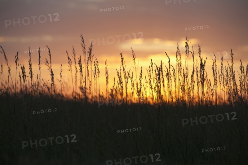 Sunset above prairie.