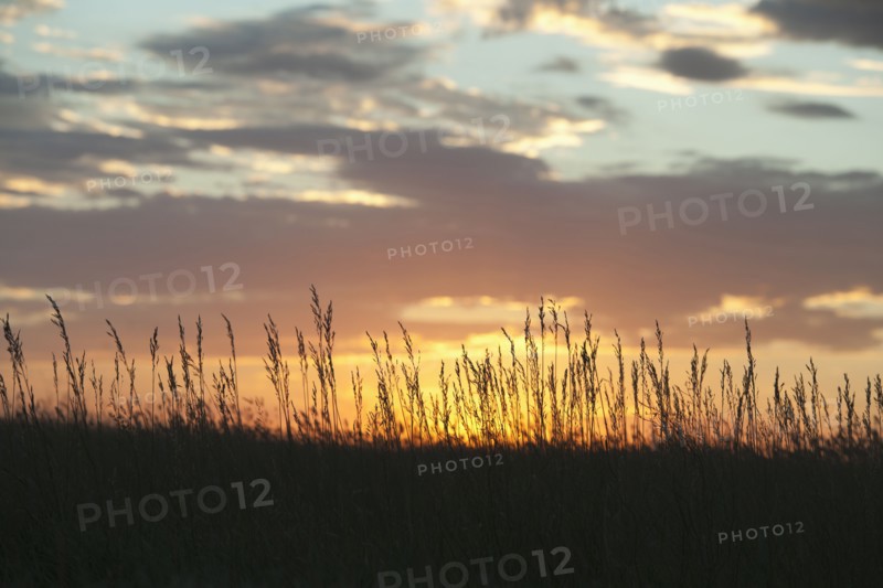 Sunset above prairie.