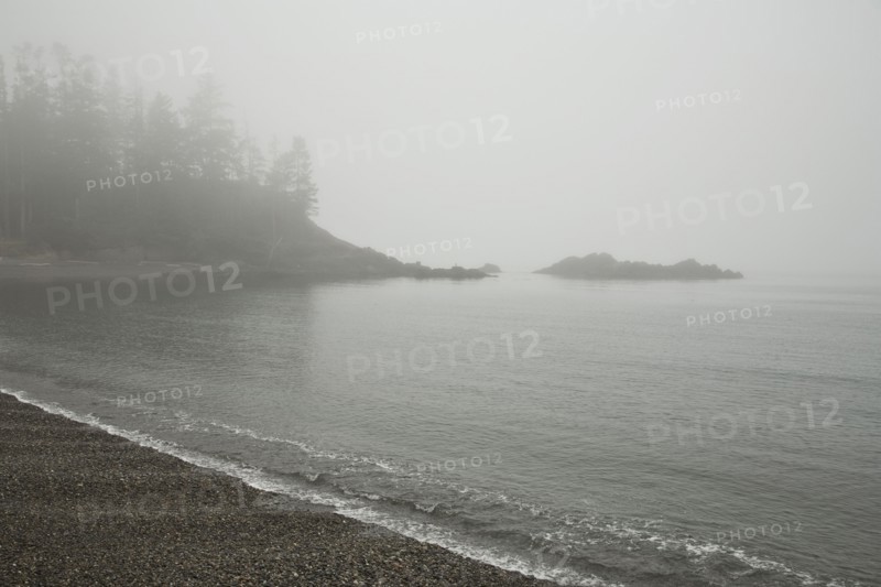Foggy coast. Photo : Johannes Kroemer