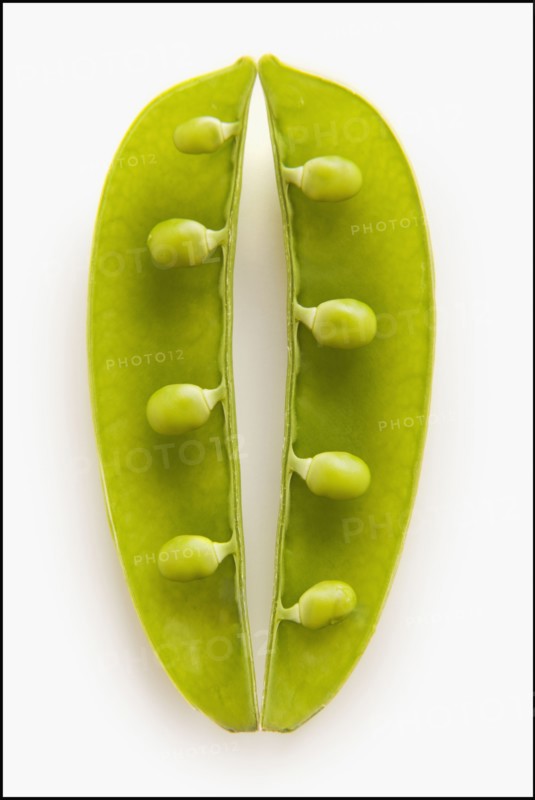Peas in Pod. Photo : Mike Kemp
