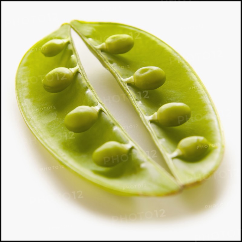 Peas in Pod. Photo : Mike Kemp