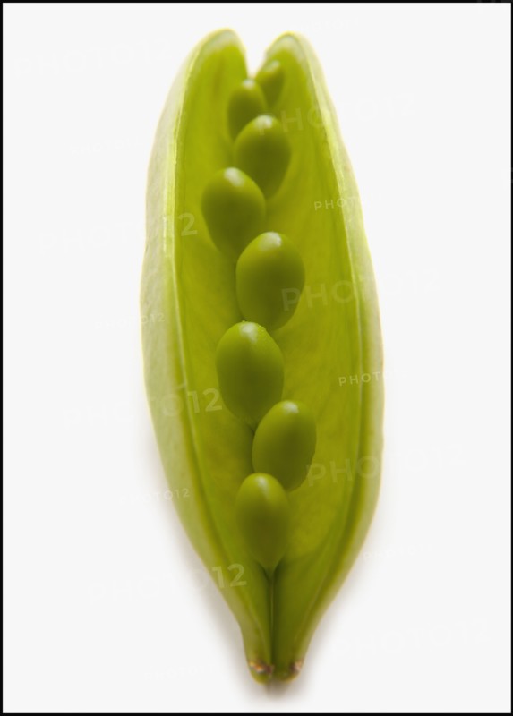 Peas in Pod. Photo : Mike Kemp