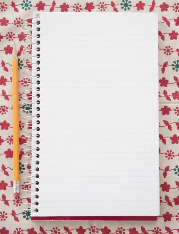 Blank notebook with pencil, directly above. Photo : Jamie Grill
