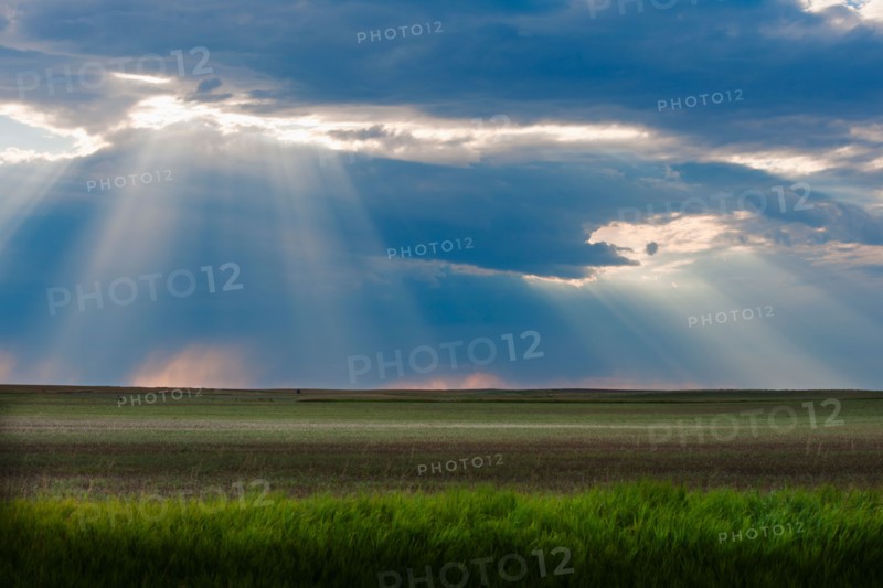 Sunrays shining through clouds over field.