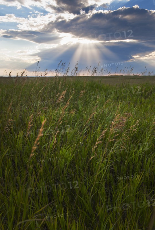 Buffalo Gap National Grasslands, Sunrays shining through clouds over field.