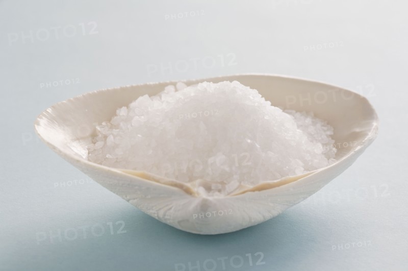 Salt in clam shell. Photo : Chris Hackett