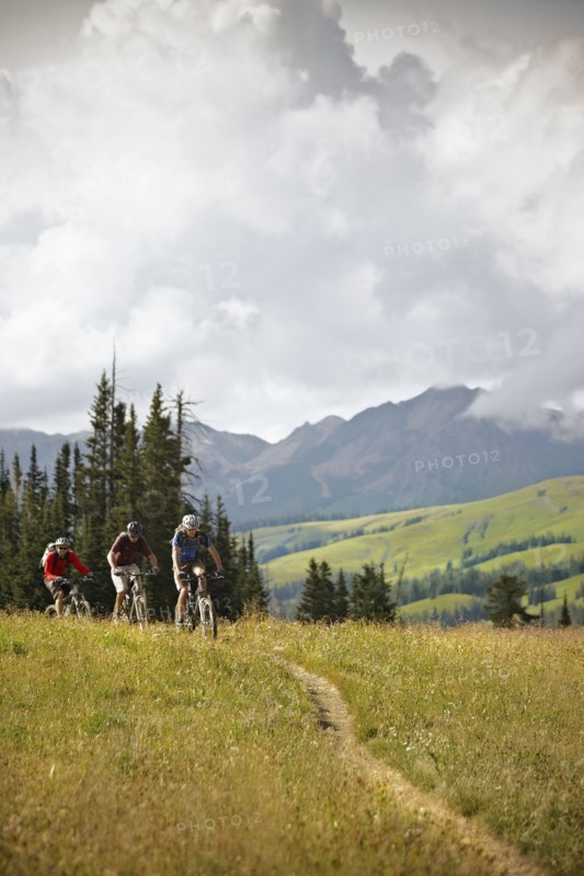 Men mountain biking on trail. Photo : Shawn O'Connor