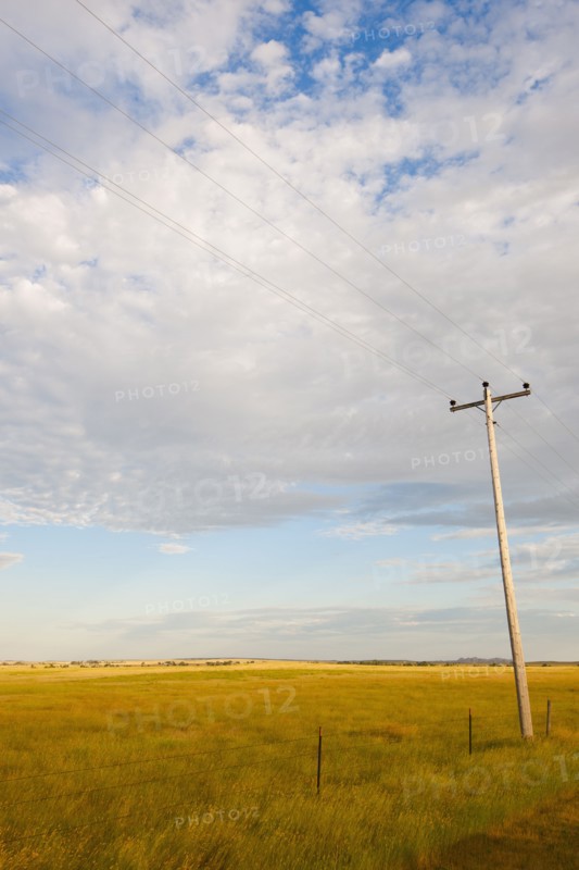 Telephone pole in prairie.