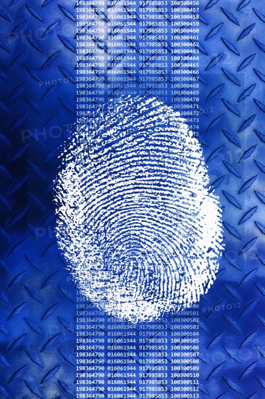 Close up of fingerprint on digital display.