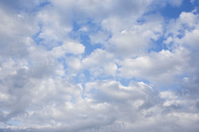 Alto Cumulus clouds. Photo : Chris Hackett