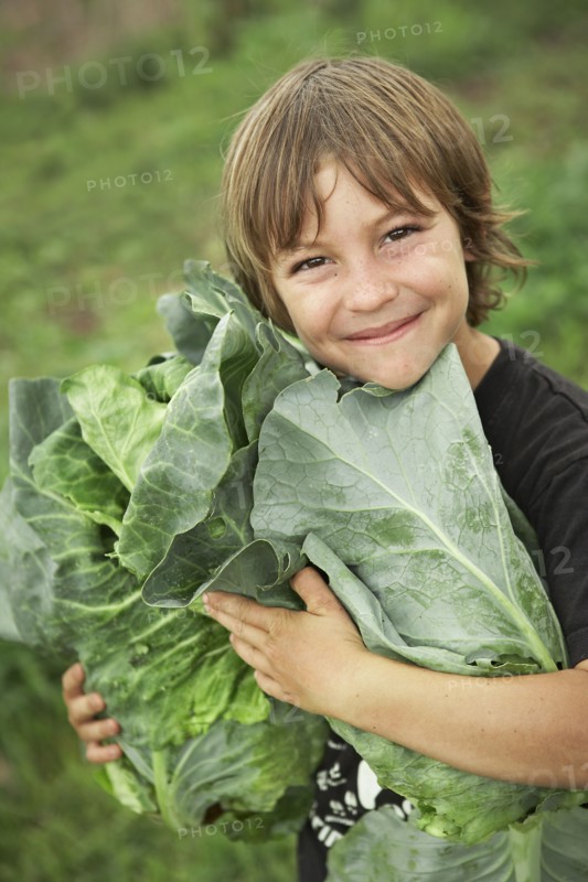 Portrait of boy (6-7) holding lettuces. Photo : Shawn O'Connor