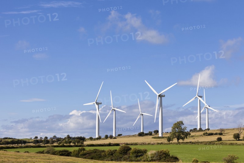 Wind turbines in field. Photo : Jon Boyes