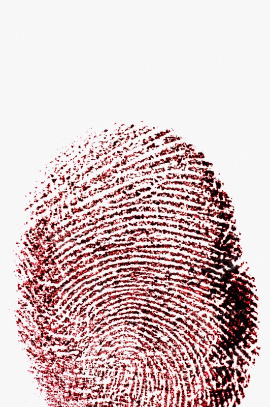 Close up of fingerprint on white background.