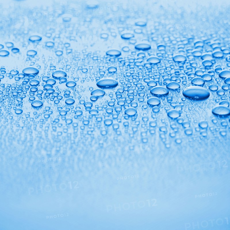 Close-up of wet surface. Photo : David Arky