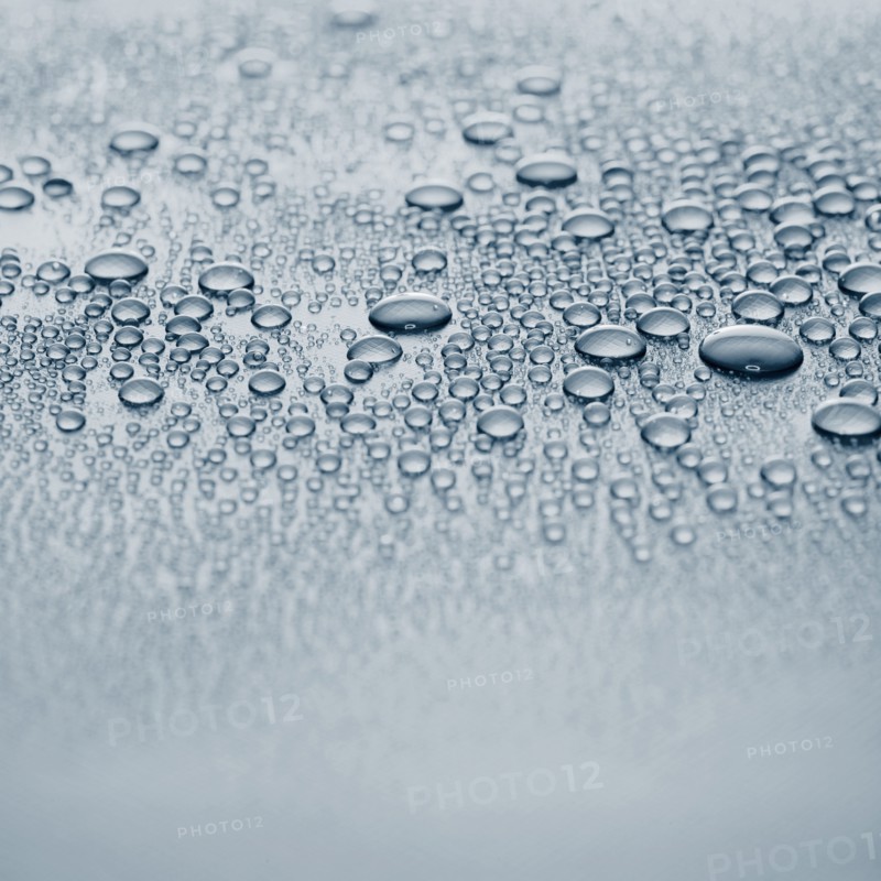 Close-up of wet surface. Photo : David Arky