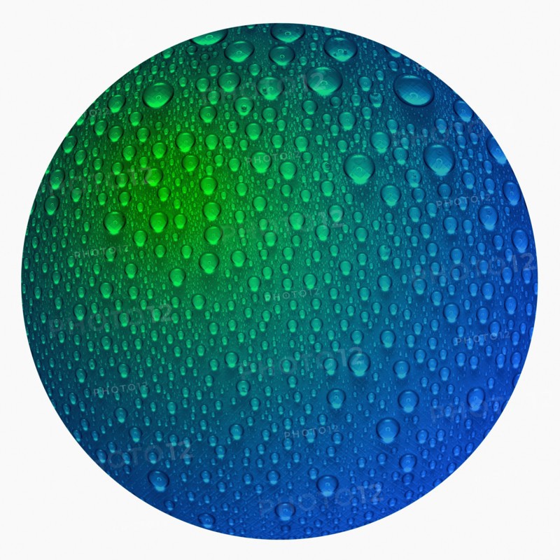 Close-up of wet surface. Photo : David Arky