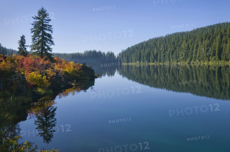 USA, Oregon, Clear Lake. Photo : Gary J Weathers