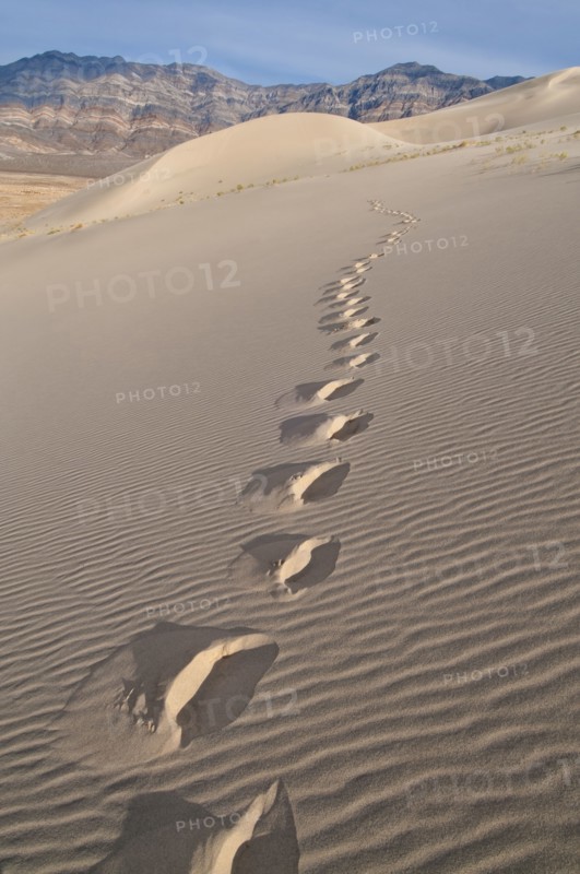 USA, California, Footprints of desert dune. Photo : Gary J Weathers