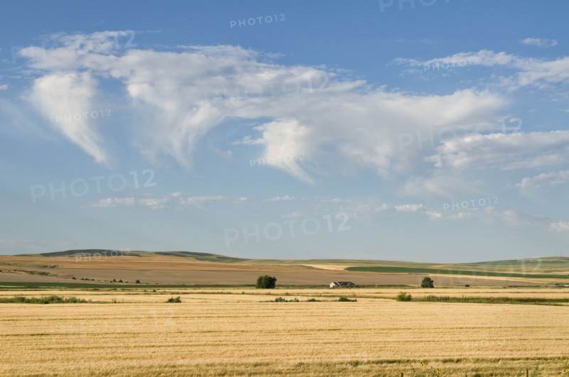 USA, Oregon, Clouds over wheat field. Photo : Gary J Weathers