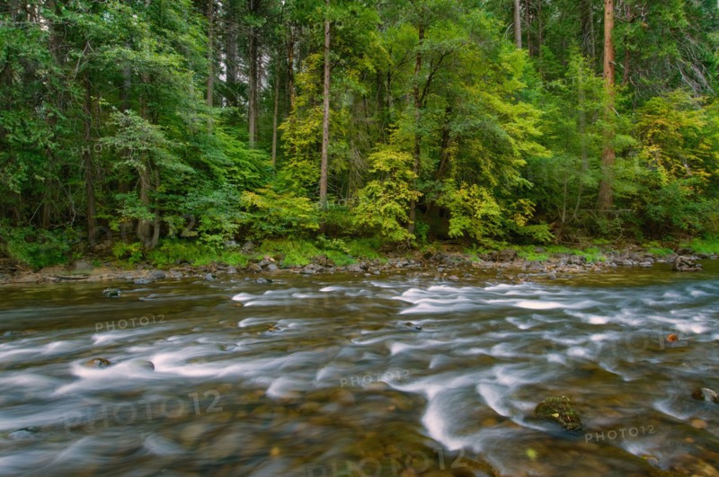 USA, California, Yosemite National Park, Merced River. Photo : Gary J Weathers