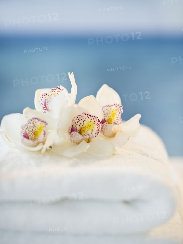 USA, New Jersey, Jersey City, spa elements with orchids.