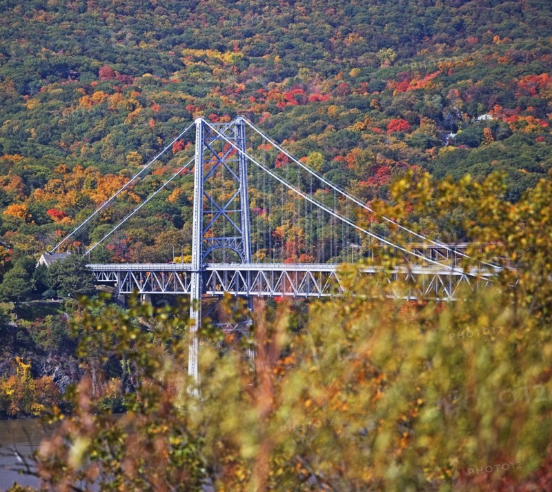 USA, New York, Bear Mountain, bridge in forest. Photo : fotog