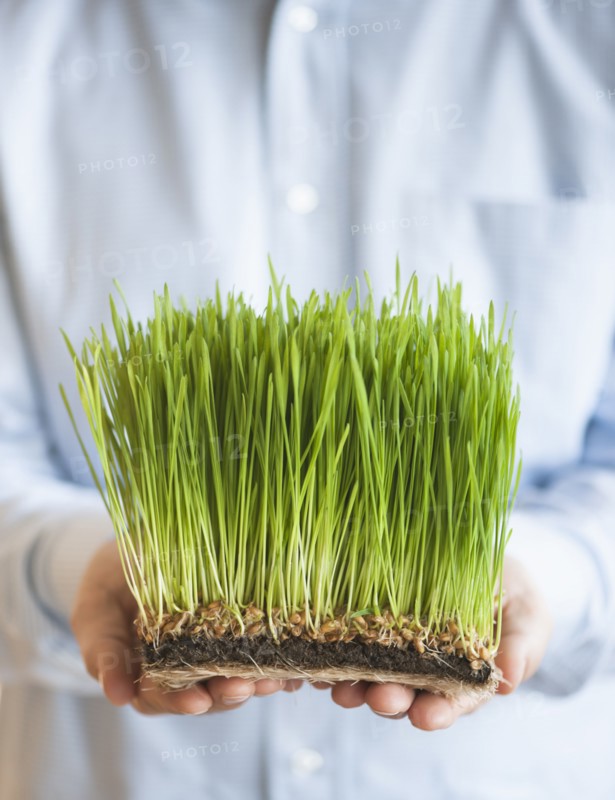 USA, New Jersey, Jersey City, Man holding growing grass in front of him.