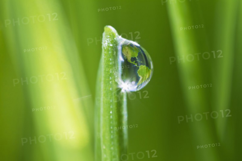 USA, New Jersey, Jersey City, dew drop on grass. Photo : Daniel Grill
