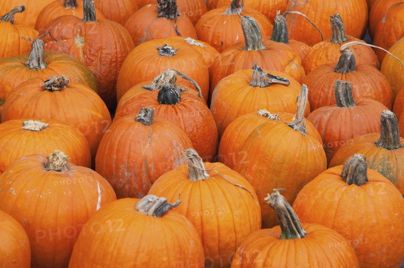 Pumpkins on market stall.