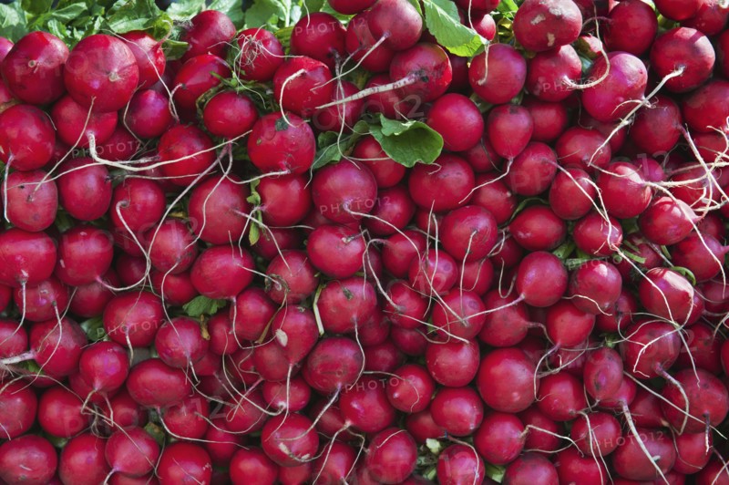 Radishes on market stall.