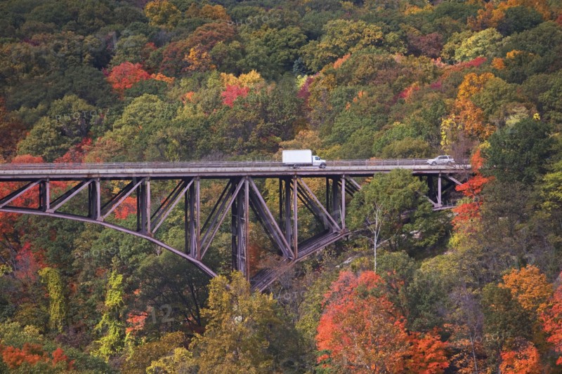USA, New York, Bear Mountain, bridge in forest. Photo : fotog