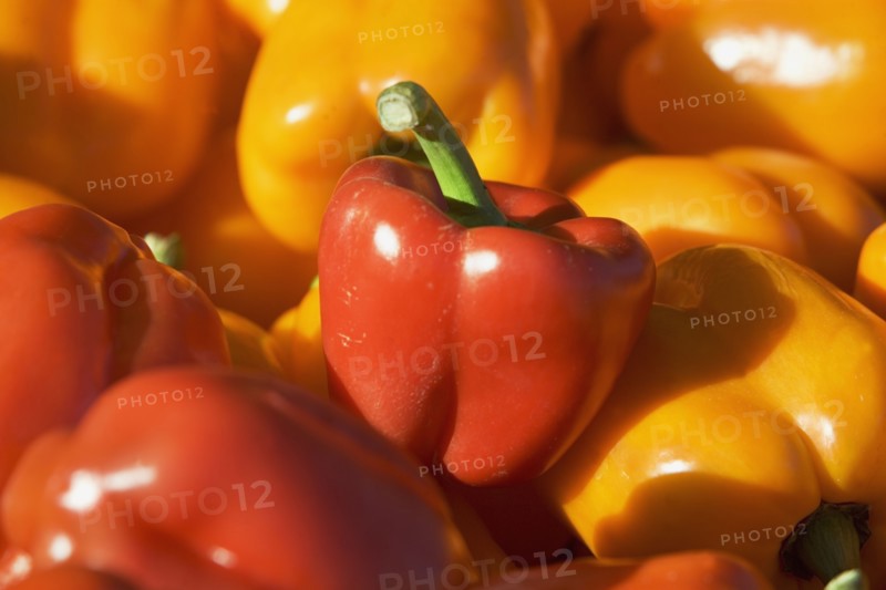 USA, Massachusetts, Boston, bell peppers. Photo : fotog