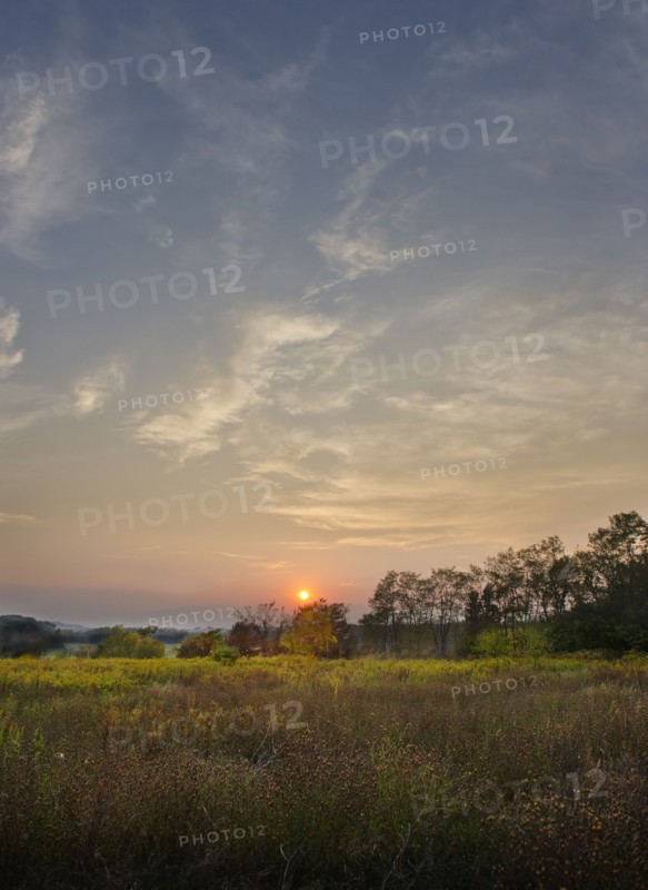 USA, New York, Hudson, Field at sunset.