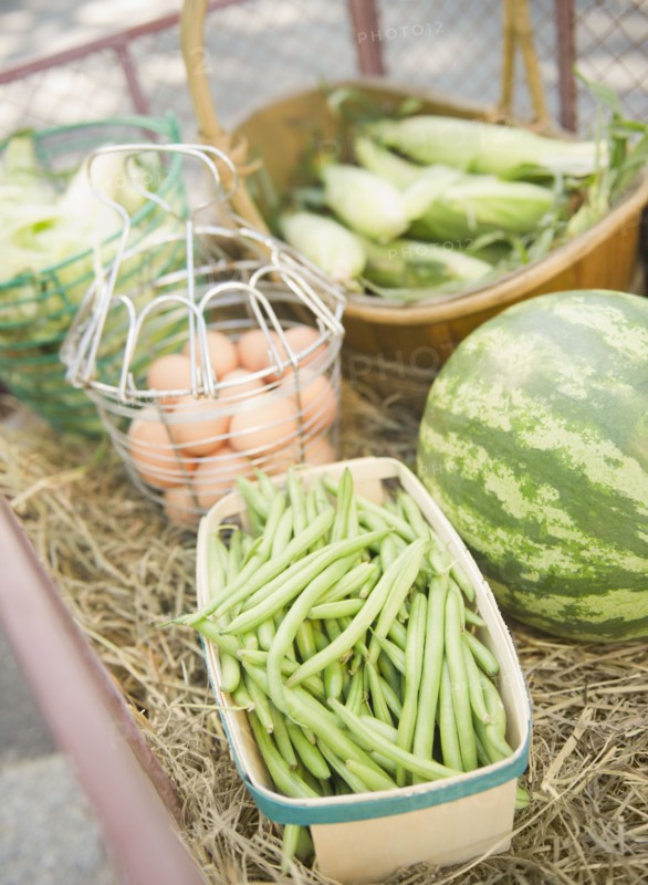 USA, New York, Flanders, Organic beans, watermelon, eggs, and corn. Photo : Jamie Grill Photography