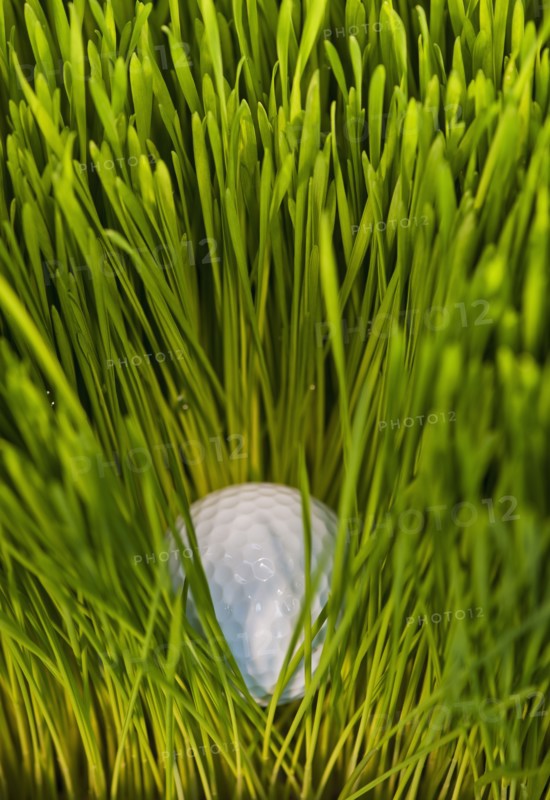 USA, New Jersey, Jersey City, Close-up view of golf ball in grass. Photo : Daniel Grill