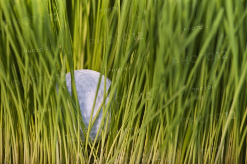 USA, New Jersey, Jersey City, Close-up view of golf ball in grass. Photo : Daniel Grill