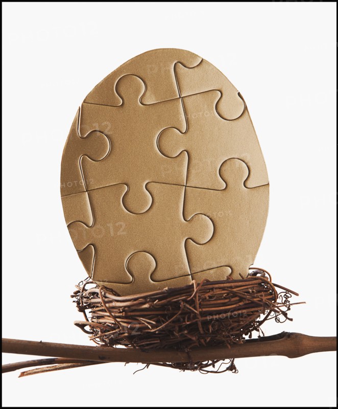 Puzzle egg in bird's nest. Photo : Mike Kemp