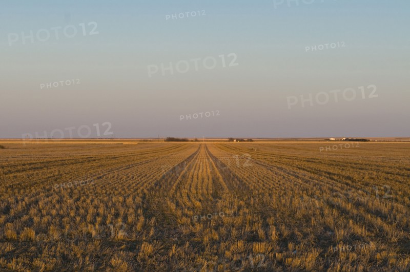 USA, Kansas, field. Photo : Gary J Weathers