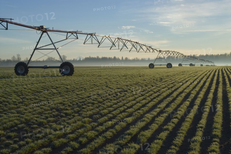 USA, Oregon, Agricultural sprinklers in field. Photo : Gary J Weathers