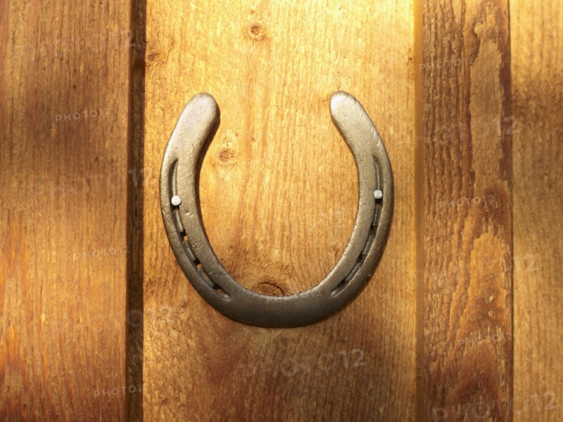 USA, Colorado, Horseshoe hanging on wooden wall, close-up. Photo : John Kelly