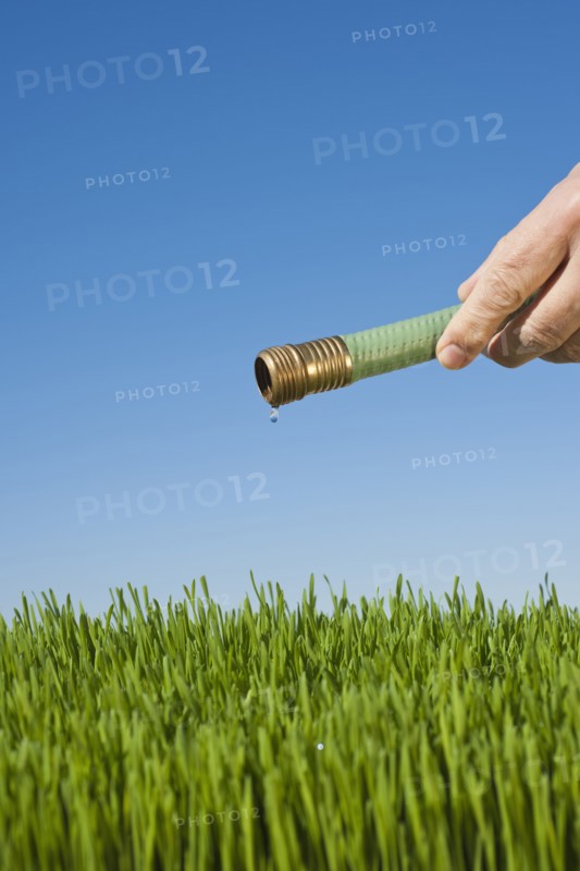 Man watering grass using hose.